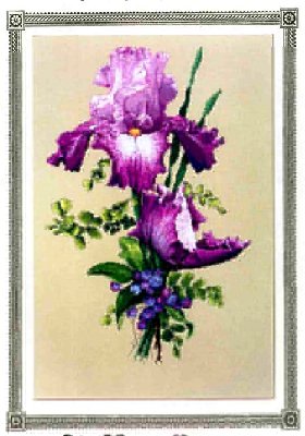 SL - Purple Perfection.jpg