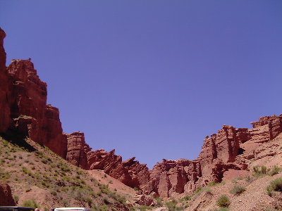 SMDC0341.jpg