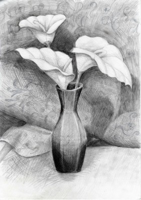 Tatyana_Bondareva_Calla_Lilies 500.jpg