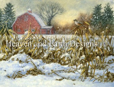 Winter Cornstalks.jpg