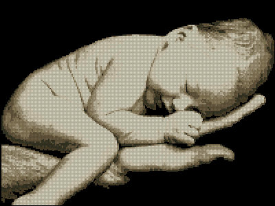 ZR Sweet Dreams SS-001 Newborn Baby.jpg