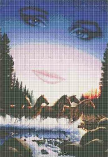 Wild horses.jpg